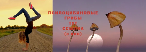 MDMA Абаза